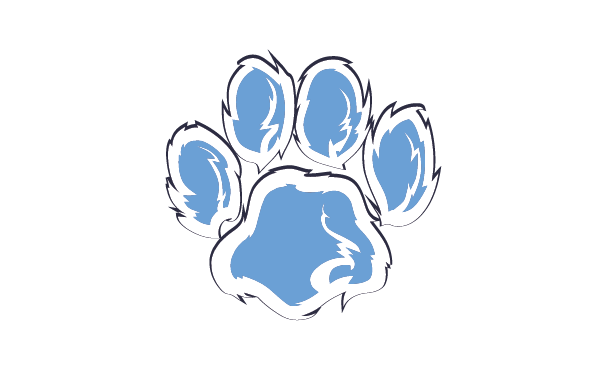 York Youth Football